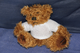 Thulani Bear